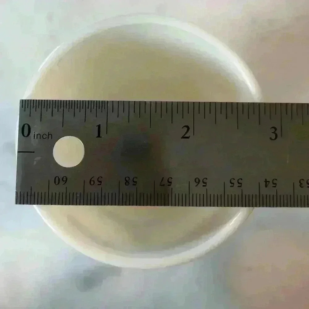 Vintage  Walt Disney World collectible milk glass souvenir mug “gramma” - Picture 8 of 8